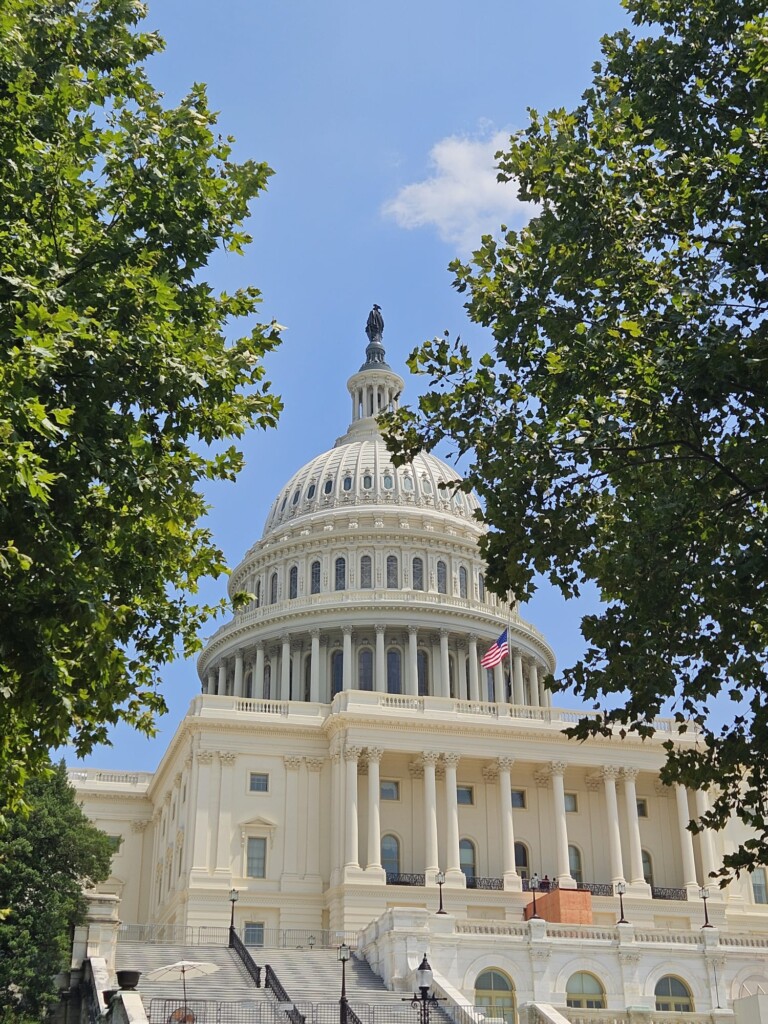 Das Kapitol, Sitz des US-Parlaments in Washington, D.C.