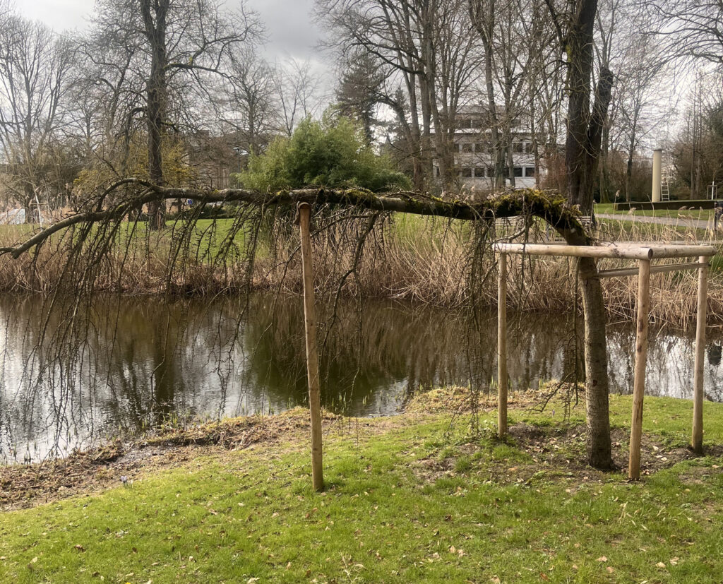 Ein Baum im Park in Luxemburg Stadt wird gestützt, damit er nicht ganz umfällt.